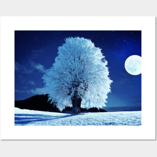 Moonlit Winter Night Posters and Art